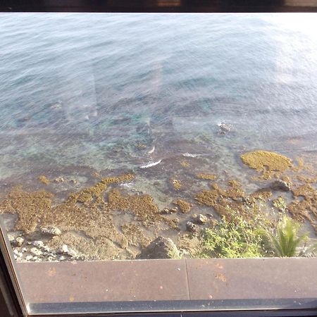 Cliff Haven Resort Jagna المظهر الخارجي الصورة