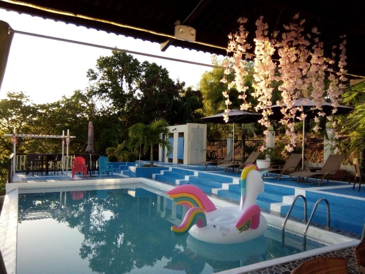 Cliff Haven Resort Jagna المظهر الخارجي الصورة